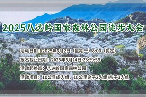2025八达岭国家森林公园徒步大会