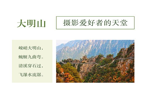 【大明山】11.11 斑斓秋色里，带你赏大明山曼妙红叶~