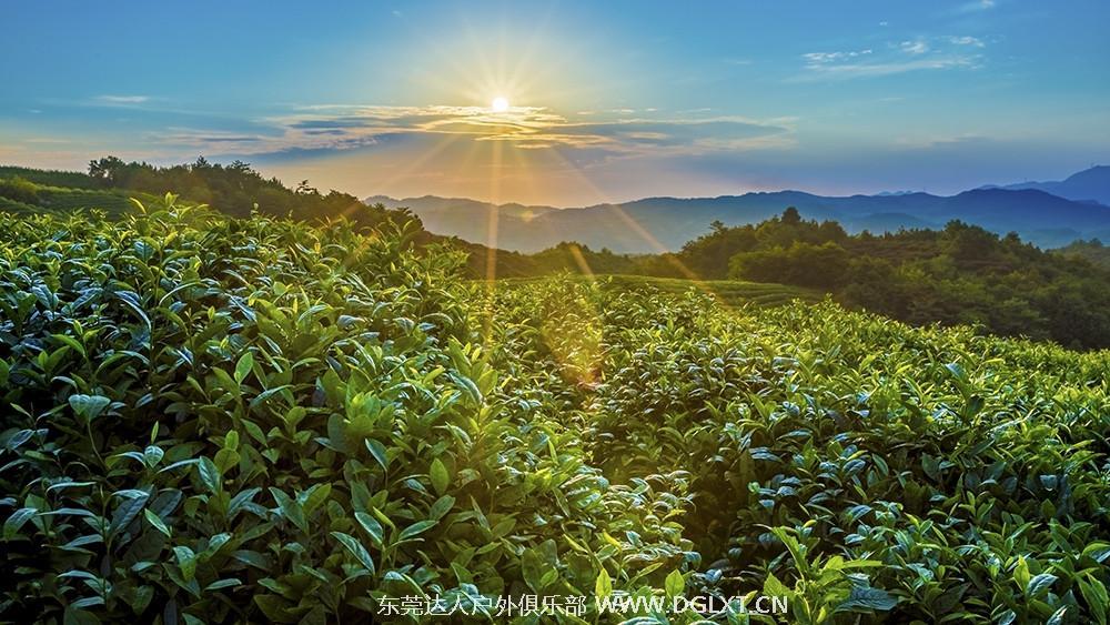 【新线首发】11月4日 高明茶山| 为吃货而生!登高寻味