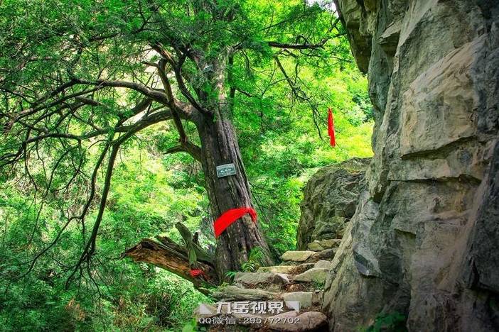 【新丝路旅行】8月23日(周四)访古做客古村落 探幽寻宝石船村 踏寻