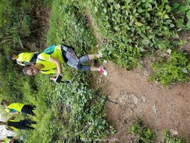 mmexport1491873712456