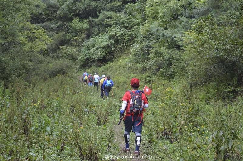 mmexport1502788424997