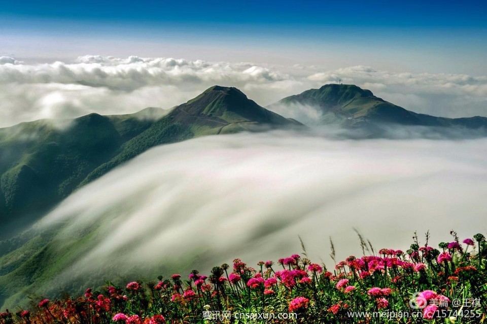 590c4c24d6ec4618b9266c348003642f