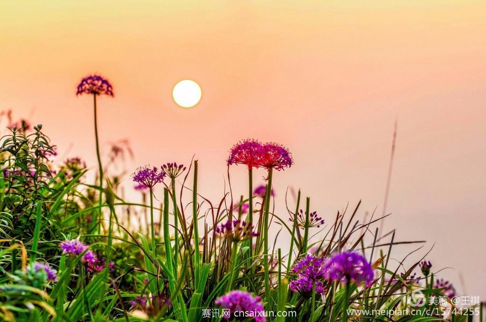 c1c91436196943fcbe7947c684add079