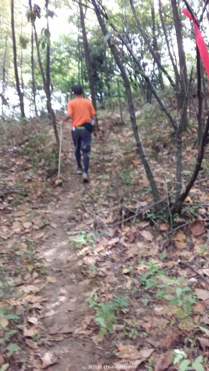 mmexport1504941344583