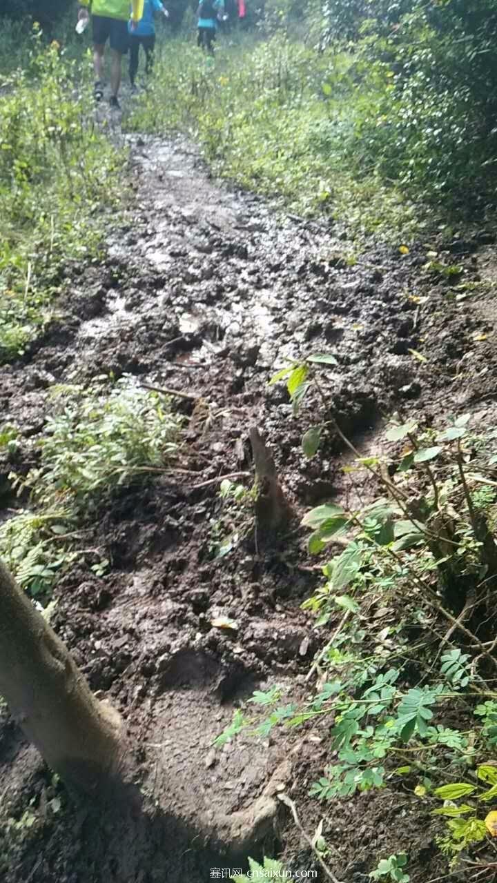 mmexport1504941286942