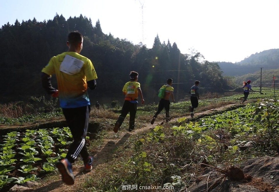 QQ截图20171126221159