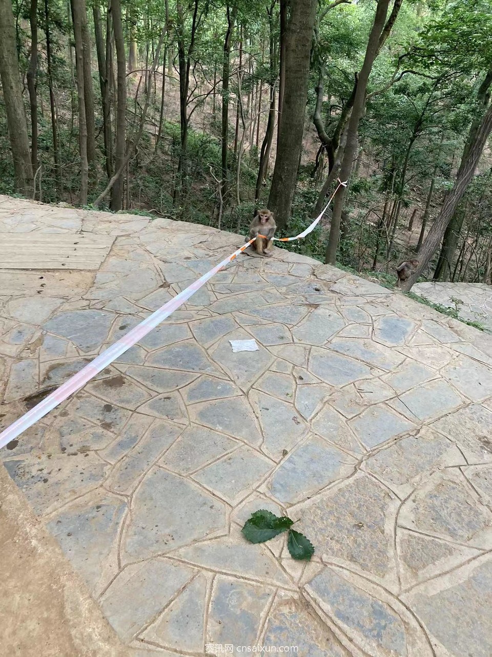 5y3WgMW5xVcSXKLWtgru0C_AHREUS2-HImmnem6W65OLGygzotjoZZWioBBReK7Q