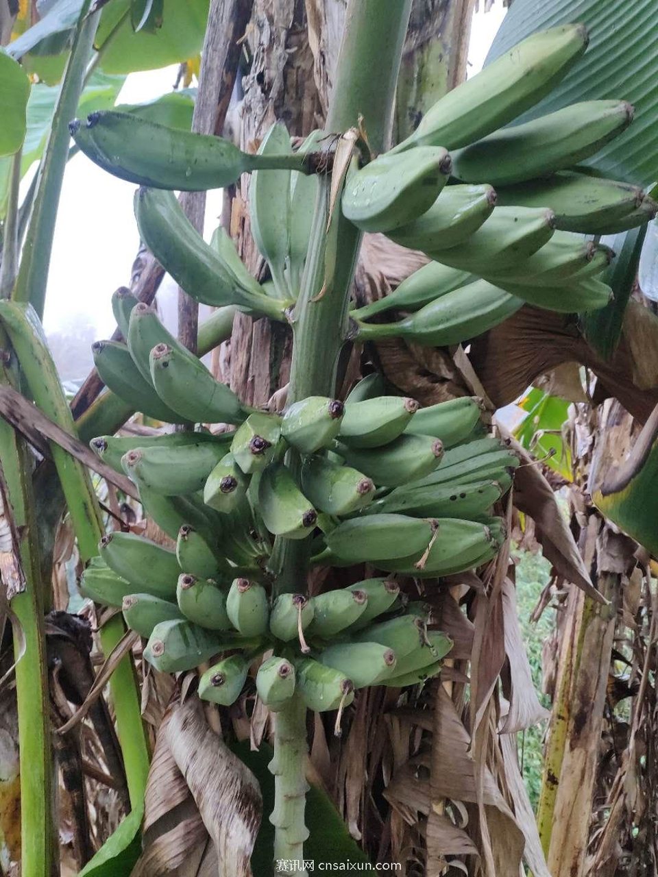 QKeLWgqkYG-OI7wBc8MY39jLTfXn-yfv7kNBvFdLPFdLIjNxxSzSKlpH8ifHu4vn