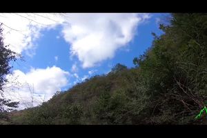 2020悠山美地“1号行动”