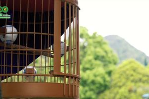 林城100-贵阳百公里越野测线纪录片