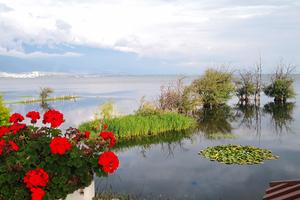 2021爱徒野“洱海的夏”生态跑