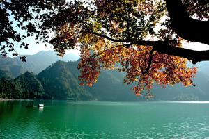 2017中国山地马拉松系列赛-重庆黔江站  