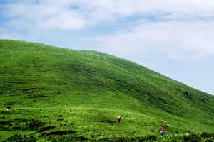 2020乌蒙大草原百公里超级越野赛