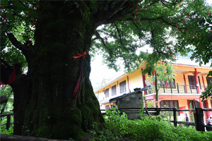贵阳十峰打卡之问道西望山