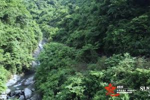 奔跑贵州(新站)组委会工作记录片