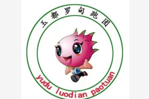 【罗甸玉都跑团】2019“奔跑贵州”山地跑系列赛总决赛罗甸百公里超级越野赛