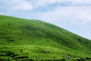 2020招商银行欢乐跑活动