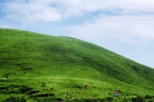 志愿者招募||2020乌蒙大草原百公里超级越野赛