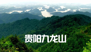 志愿者招募 || 九龙山越野