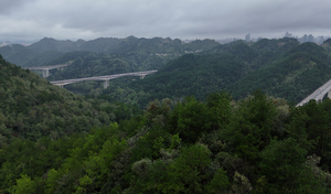 志愿者招募||穿越黔灵，一“鹿”冲关城市山地户外体旅季暨贵阳十峰越野跑