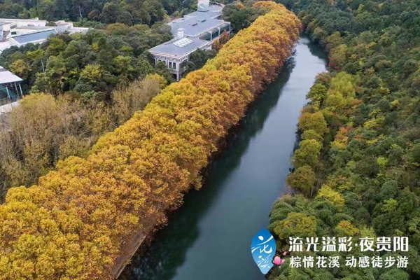 十里河滩荧光夜跑——贵阳市第52届全民健身迎新跑（花溪区站）