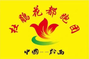 【杜鹃花都跑团】2023年中国·贵州（安顺站）跑古村节