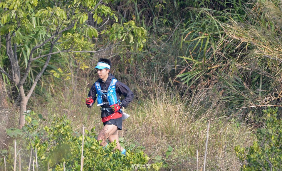 微信图片_20171218000331