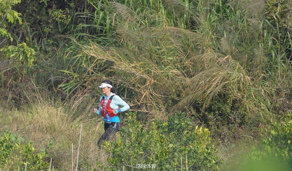 微信图片_20171218000334