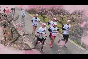 绿城·镸汀雲庐2019奉化海峡两岸桃花马拉松
