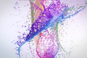 2016宁波横溪越野赛