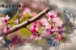 2017“建行杯”中国奉化海峡两岸山地桃花马拉松宣传片（正片）