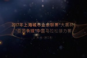2017“百团争锋”中国马拉松接力赛上海站（第二届）