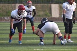 DSC_9083_副本_副本_副本