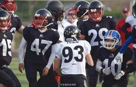 DSC_9095_副本_副本