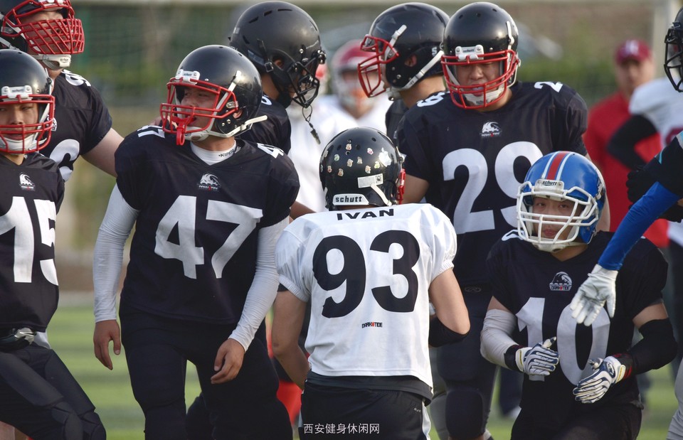 DSC_9095_副本_副本