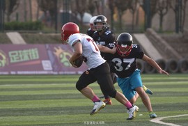 DSC_9116_副本_副本