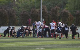 DSC_9112_副本_副本