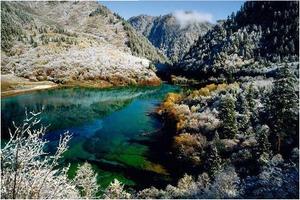 2017年2月10日-2月12日 冬季童话九寨沟 青木川古镇 3日游（纯玩）门票半价 350元