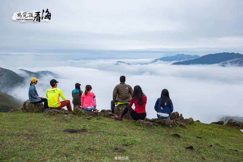 170422阳春鸡笼顶