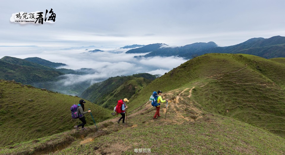 170422阳春鸡笼顶