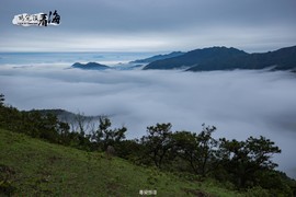 170422阳春鸡笼顶