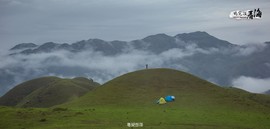 170422阳春鸡笼顶