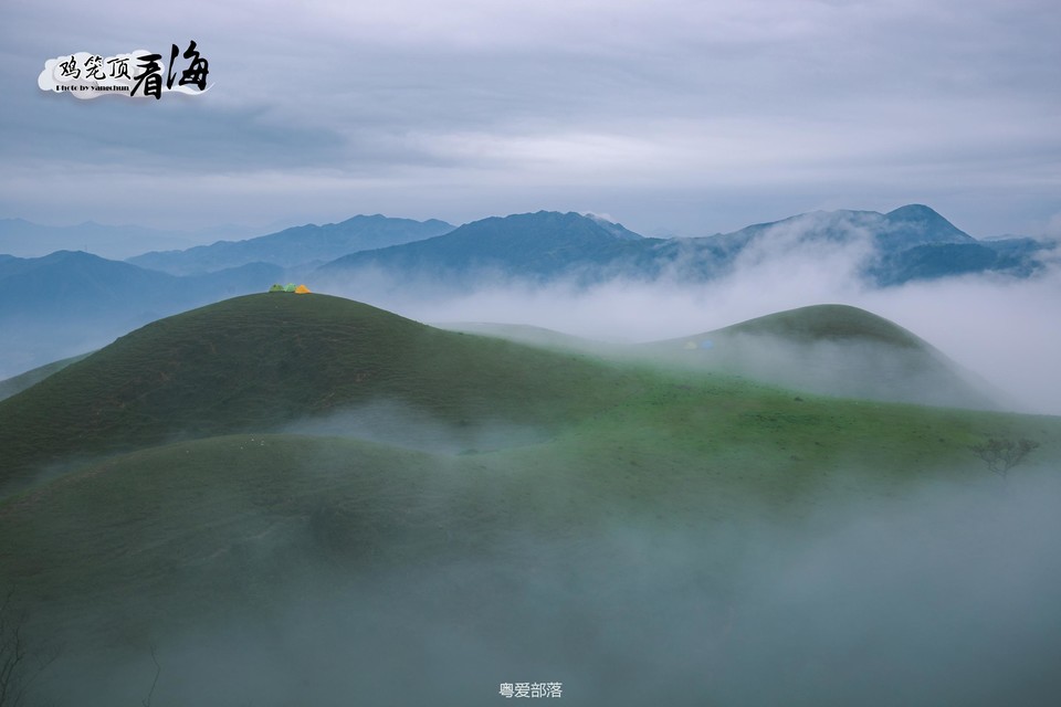 170422阳春鸡笼顶