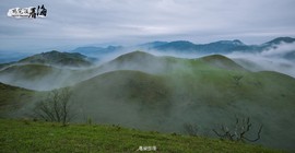 170422阳春鸡笼顶