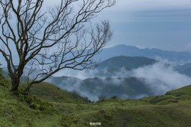 170422阳春鸡笼顶