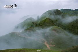 170422阳春鸡笼顶