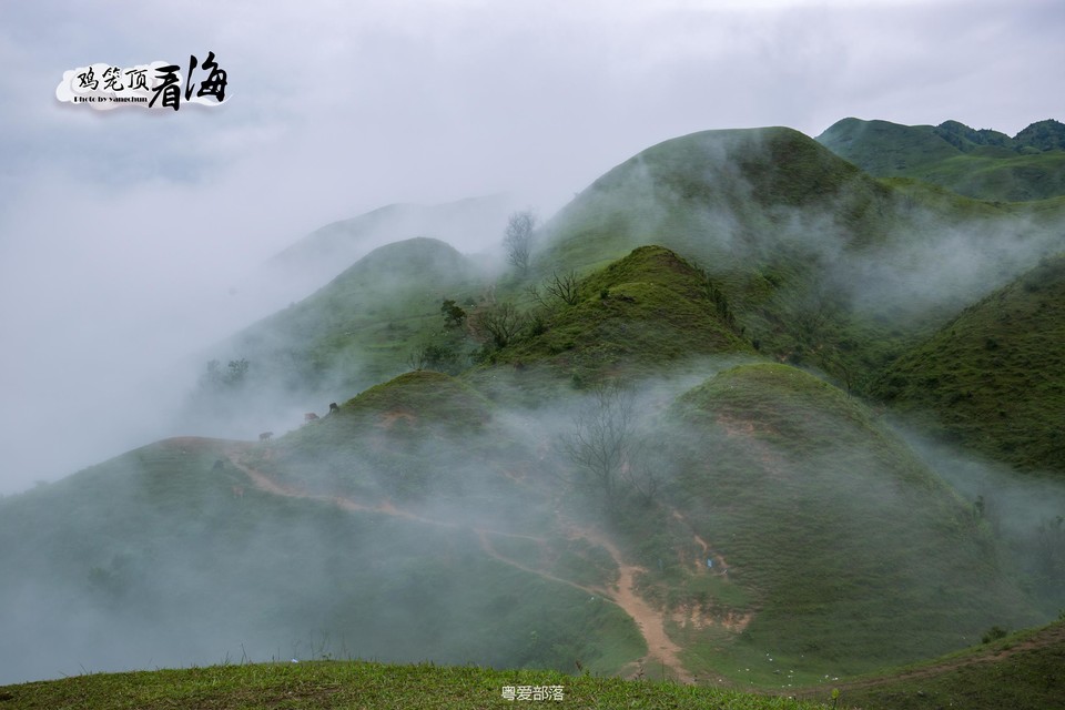 170422阳春鸡笼顶