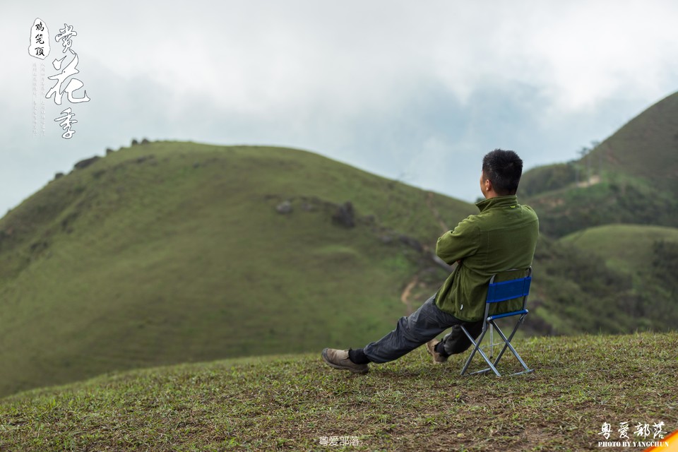 170506阳春鸡笼顶