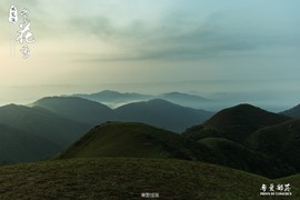 170506阳春鸡笼顶